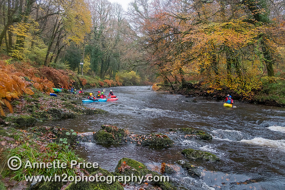 River Dart, UK