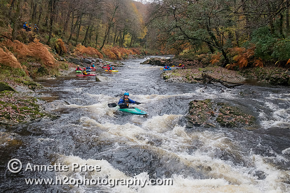 River Dart, UK