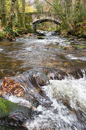 River Dart, UK