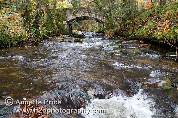 River Dart, UK