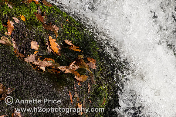 River Mellte, Ystradfellte, Brecon Beacons, Wales,UK