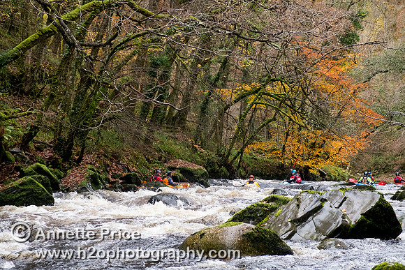 River Dart, UK