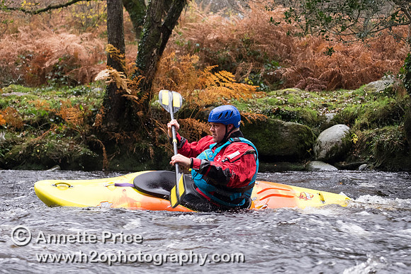 River Dart, UK