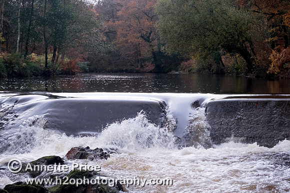 River Dart, UK