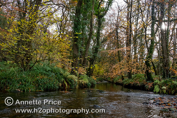 River Dart, UK