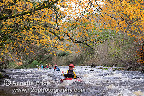 River Dart, UK