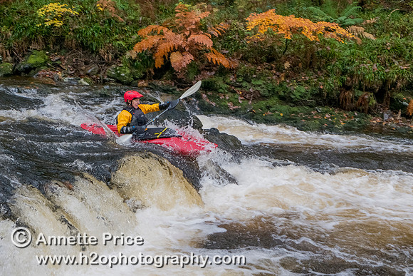 River Dart, UK