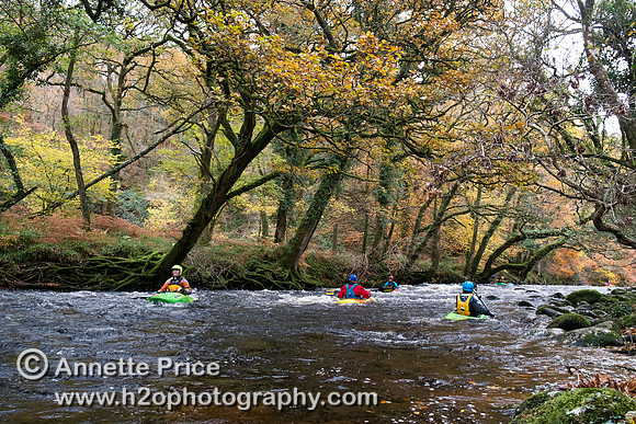 River Dart, UK