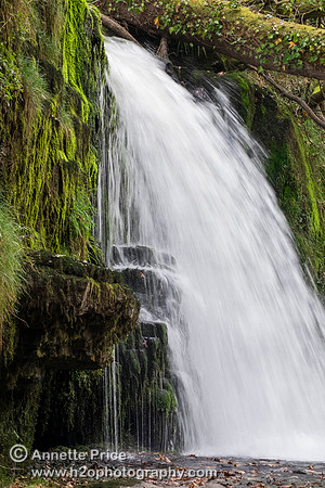 River Mellte, Ystradfellte, Brecon Beacons, Wales,UK
