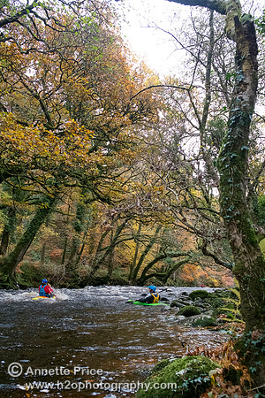 River Dart, UK