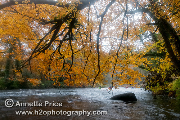 River Dart, UK