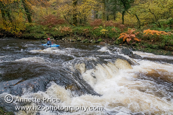 River Dart, UK