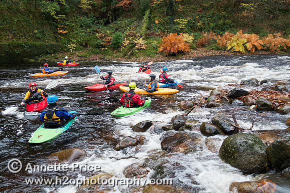 River Dart, UK