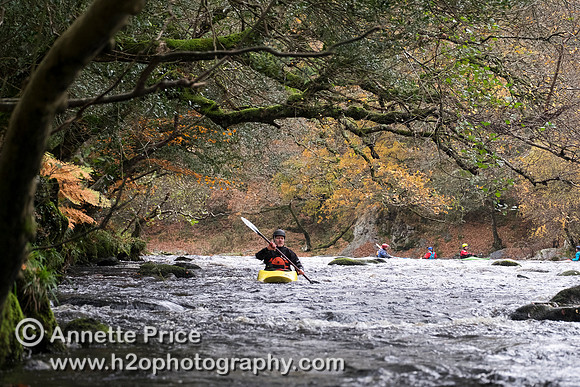 River Dart, UK