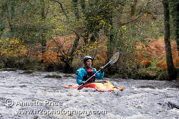 River Dart, UK