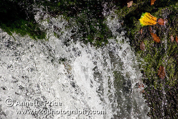 River Mellte, Ystradfellte, Brecon Beacons, Wales,UK