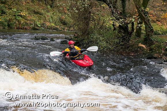 River Dart, UK